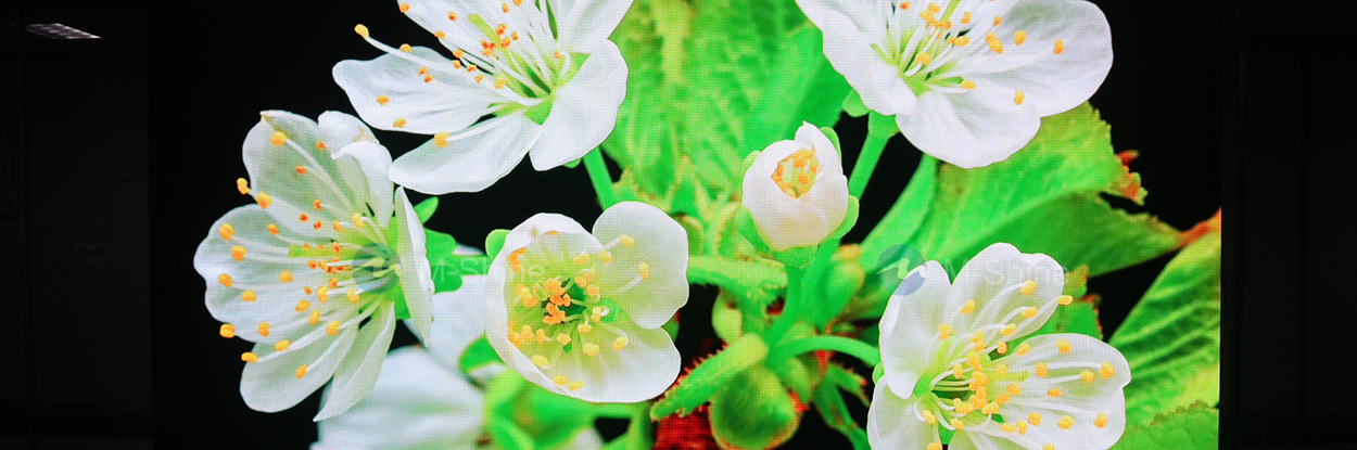 17156584599045.jpg 33.jpg